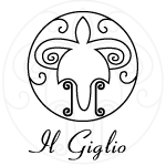 In attesa dell'immagine del prodotto